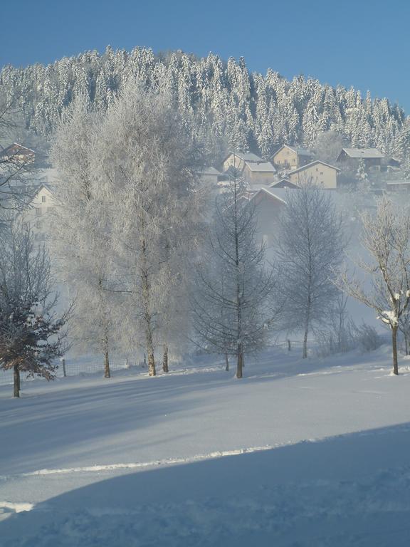 Gite Haut Doubs La Grand'Combe-Chateleu Exterior foto